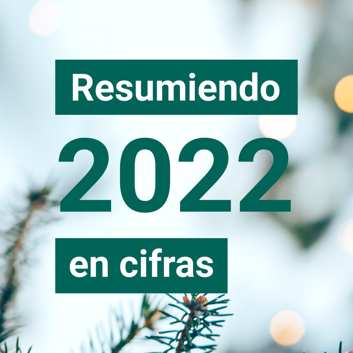 Inforyde's tweet photo. 🙌 Para cerrar nuestro 2022, hoy os dejamos algunas de las cifras más significantes de este año que reflejan todos los logros que hemos conseguido juntos 🎉
👉 ¡Entra aquí para verlas! https://t.co/FtKauprwwN
#Inforyde #Invesyde #2022wrapped #Cifras2022 #Navidad https://t.co/NRpnop0MPk