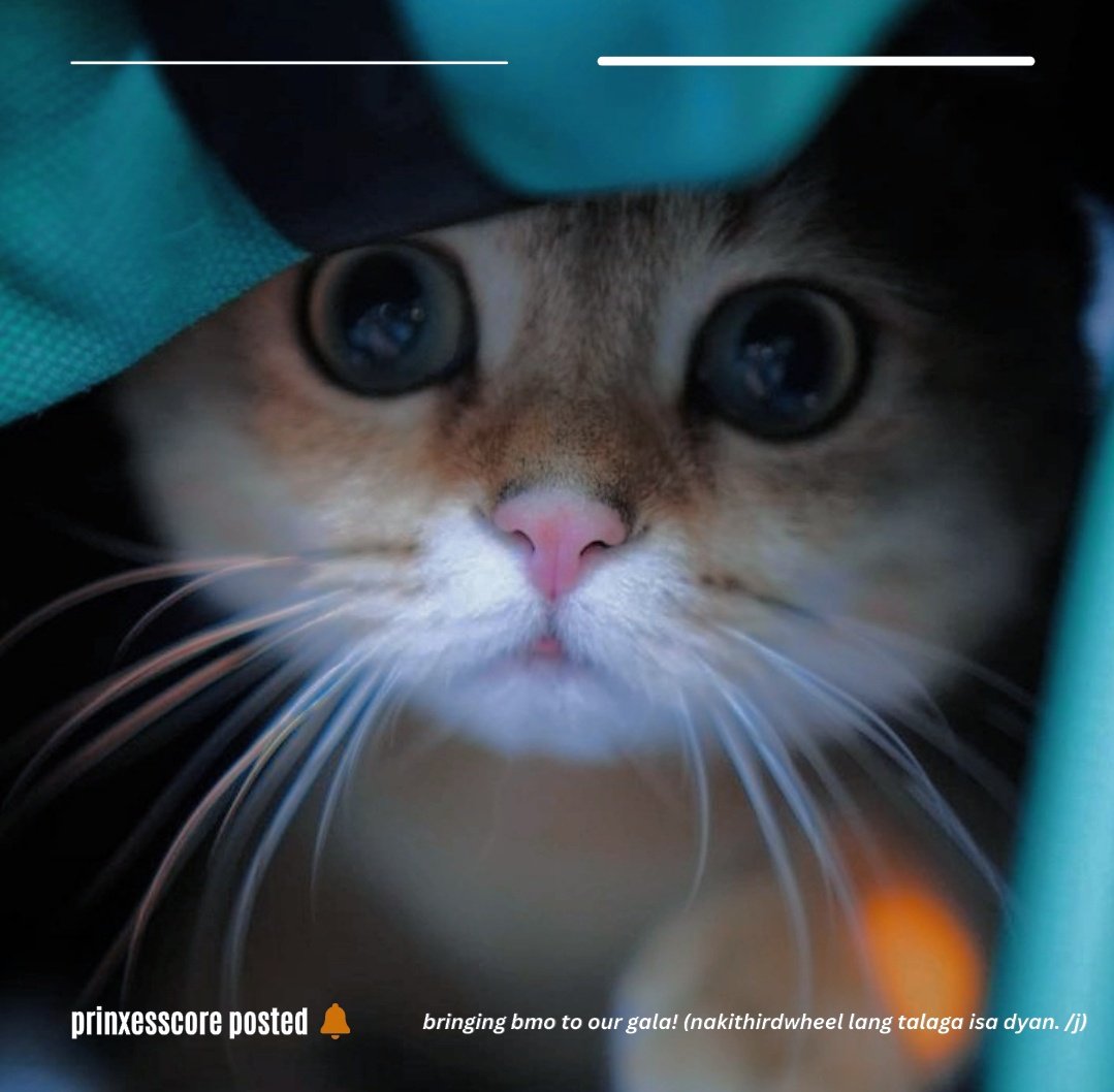 ㅤ
ㅤ   ㅤ
ㅤ    <a href="/prinxesscore/">ًrest</a> | sns update
             
                   ͏͏͏͏͏🕒 7:46
                   🗓️ 122722.
                   📍 disabled.
                  
ㅤ