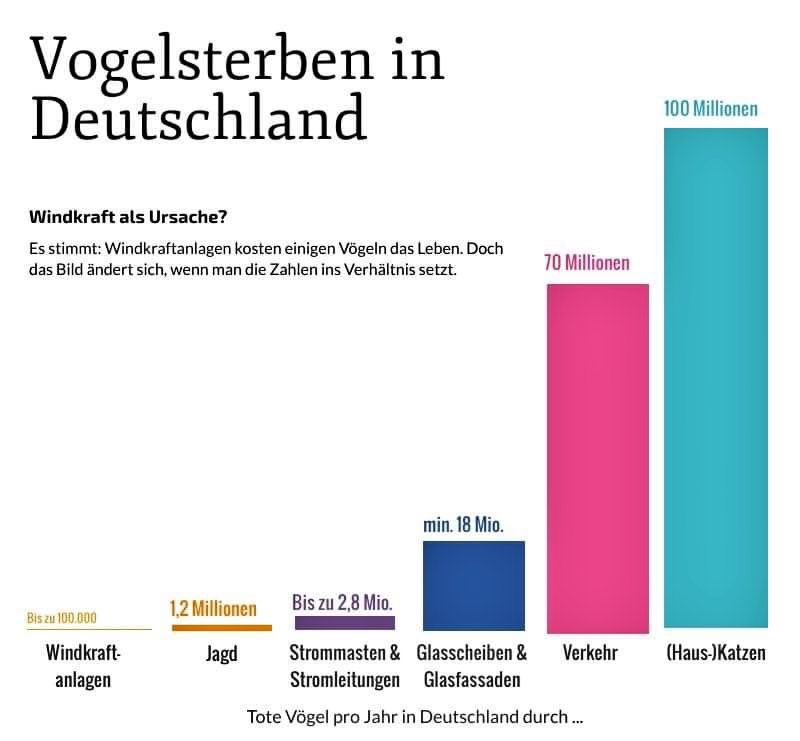 Urs Fürer tweet media