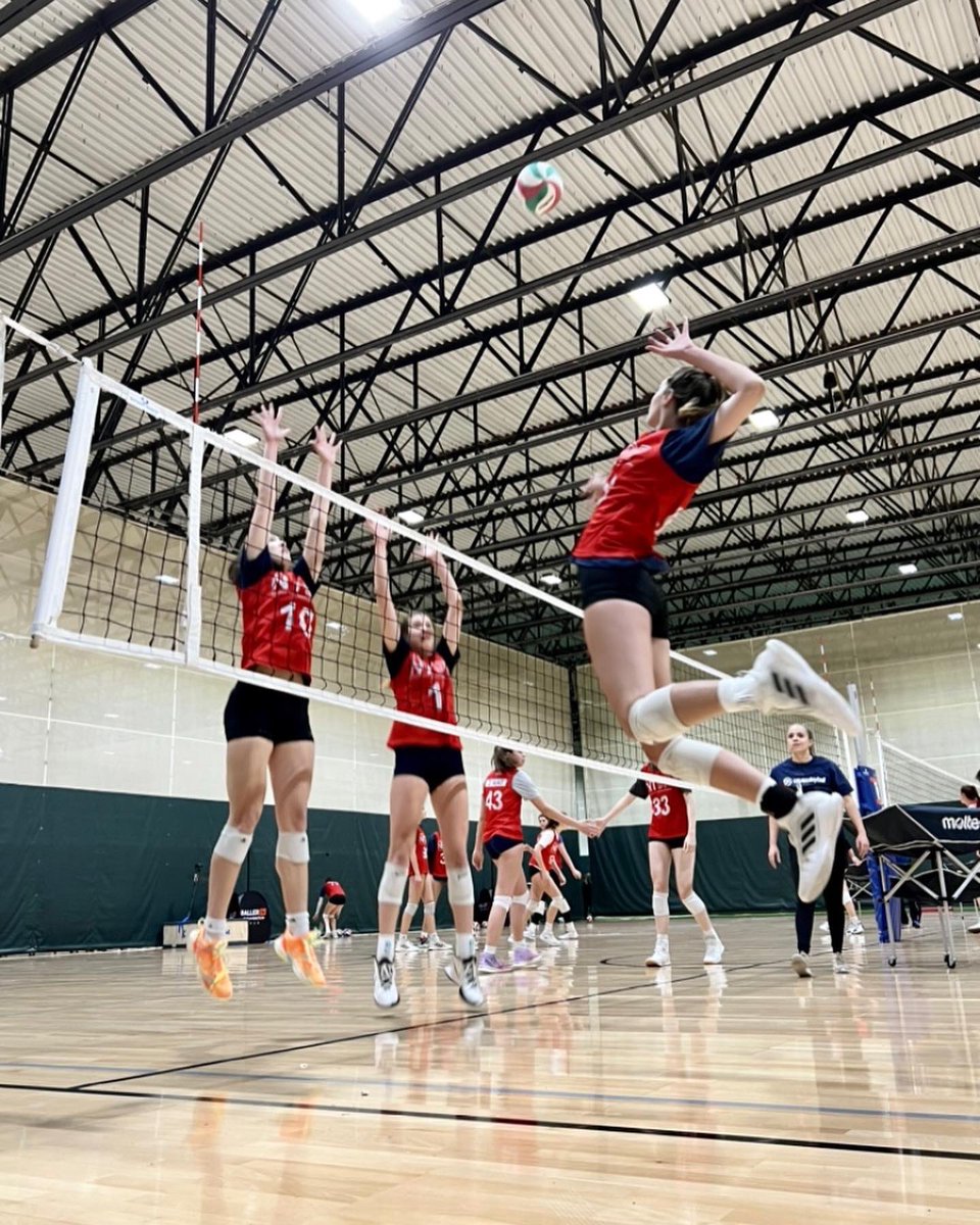 Grace Carroll tweet media