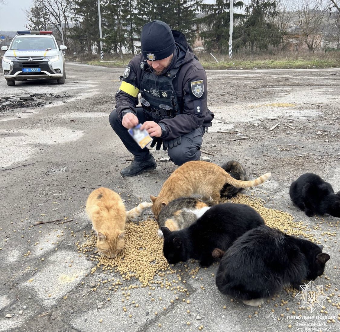 UkrARMY cats & dogs tweet media