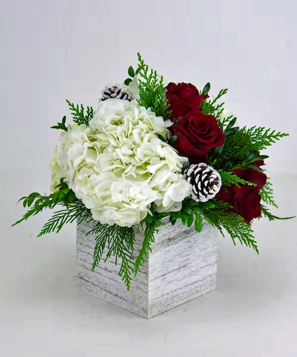 radebaughs's tweet photo. Serving the area for over 70 years, we specialize in New Year flowers, Birthday flowers & Gifts for friends & loved ones. Shop for what you need today at https://t.co/jn9JtfmhM8.
#radebaughs #greenhouse #florist #towson #baltimore #newyearflowers #giftsfornewyear #happyholidays https://t.co/thCIprithm