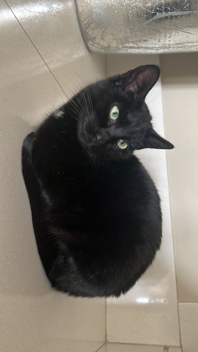 Paula Martin tweet media