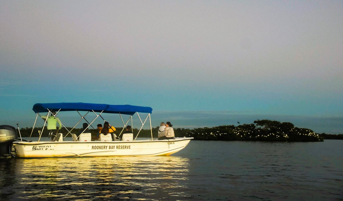 RisingTideFL's tweet photo. Book your Sunset Bird Rookery Boat tour at https://t.co/jHjXoaBsdd #RisingTide FL #Naples_Outfitters #Biologistguides #swfllife #naplestravelguide #jwmarcoisland #neopolitanfamily #paradisecoast #LoveFL #NaplesFL #Marco #kayak #neverstopexploring #birds https://t.co/AvLpdOw53G