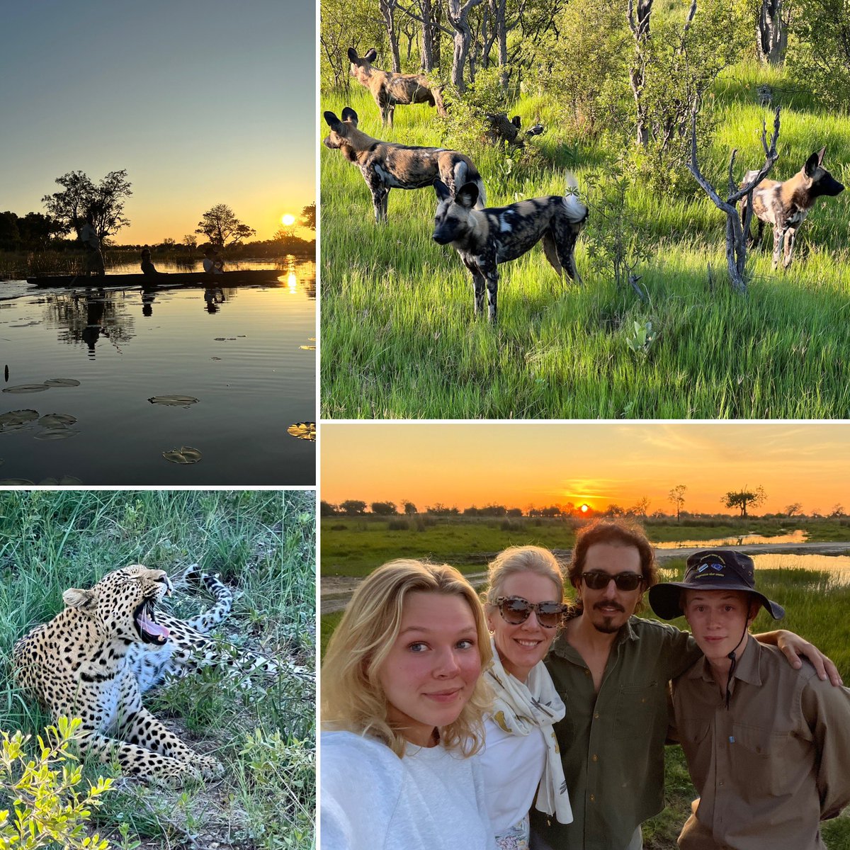PetraPereyra's tweet photo. Family time 🟰 adventure time in the Okavango Delta exploring the stunning beauty of Botswana nature 🏕️🇧🇼
The Okavango Delta is a #UNESCO World Heritage Site and home to amazing wildlife, including the endangered African Wild Dog and the leopard 🙏🏻 https://t.co/4dpQQSo2NY