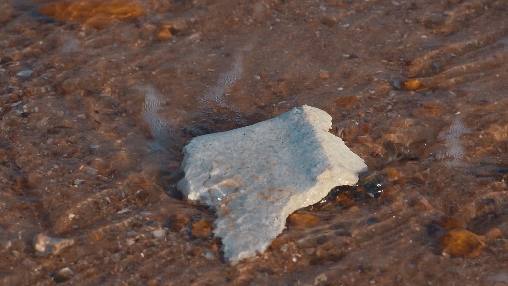 Next Nature tweet media