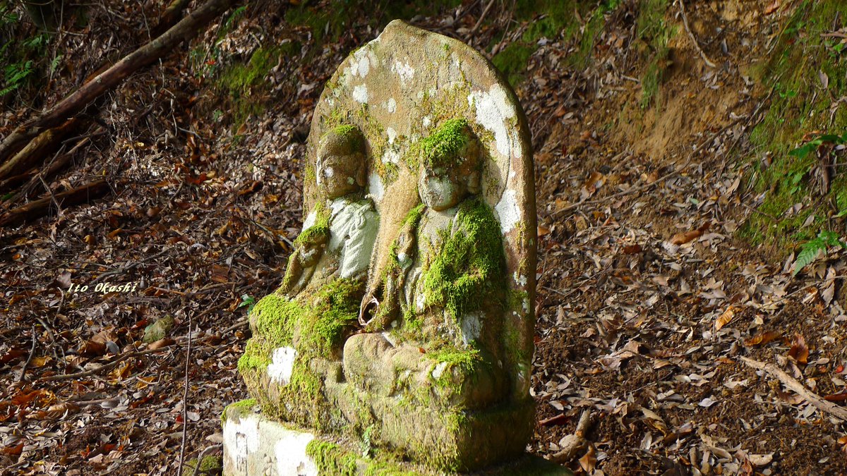 お山で出会った苔むした石仏さま🙏
#写真好きな人と繋がりたい