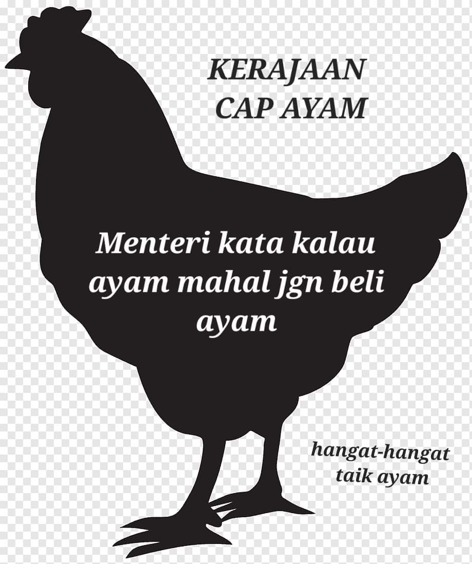 Da Yang (@dayang10834245) on Twitter photo 