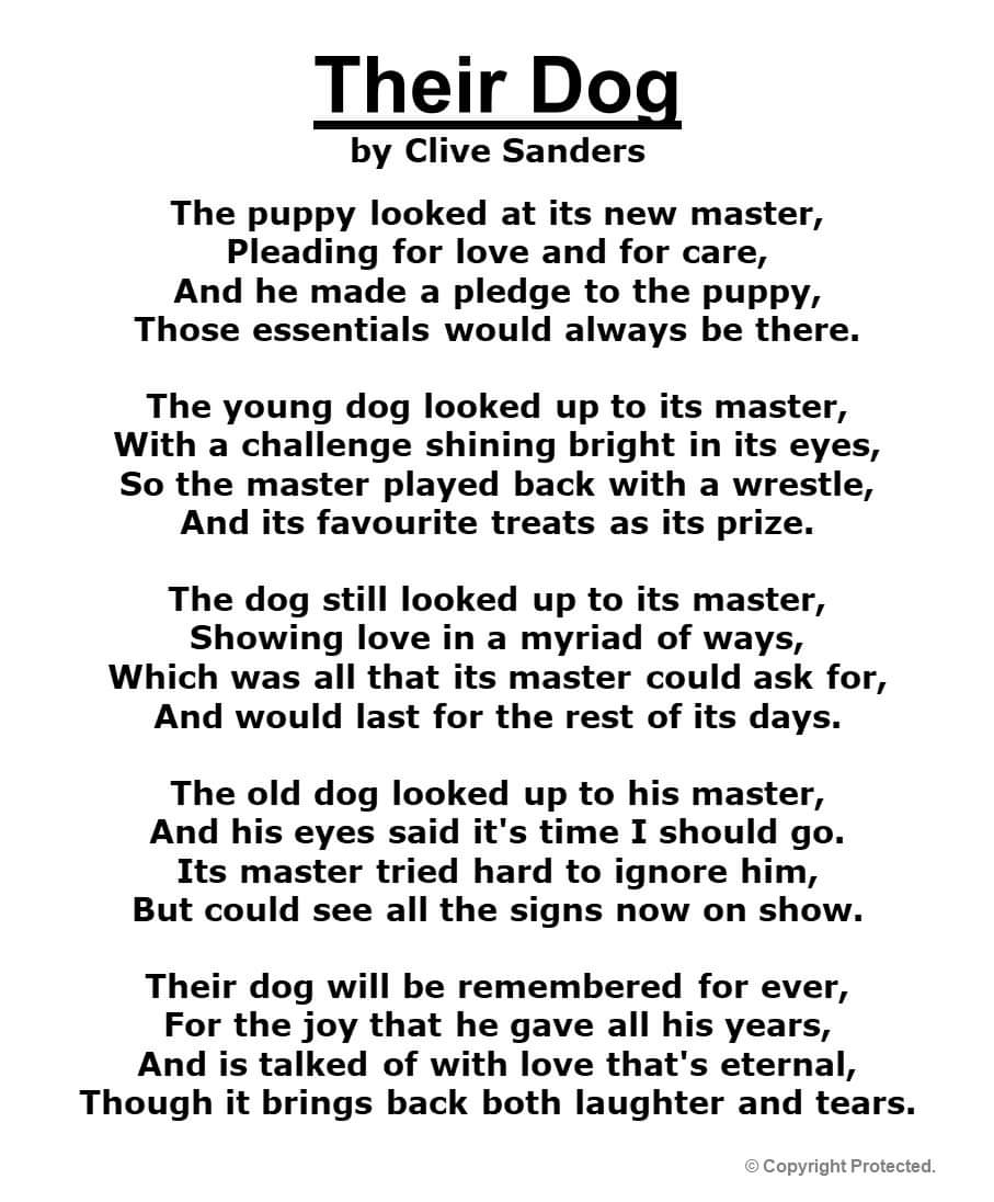 #SomersetLandscapeArtistandPoet. #dogsarefamily #doglovers <a href="/DogsTrust/">Dogs Trust 💛🐶</a> <a href="/PaulOGradyShow/">Paul O'Grady Show</a> animals are extended family members, who have feelings.