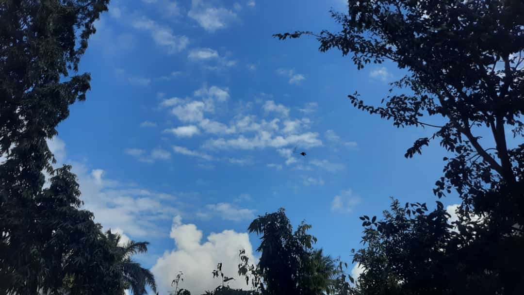 Madhumathi_Inks's tweet photo. #NithamOruVaanam 💙
#EternalLoveForNature 
We understand by observing, than by just seeing... 

#NatureMentors #Nature #Birds #Bluesky #AllThingsBlue https://t.co/AqVt7dN6W0