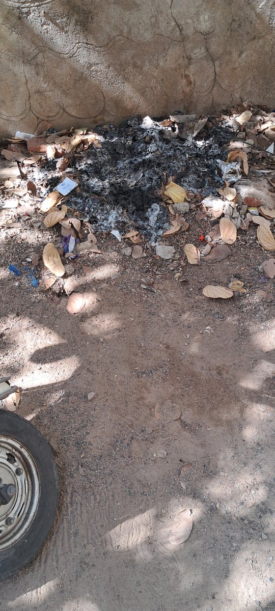 KidambiV's tweet photo. @ZC_SLP Gathering swept overs near compound wall of Plot no.285 and https://t.co/CC7SobQOuI.16, Opp MK Residency Telecomnagar and burning which damages our garden green Bilwa plant
If not prevented would proceed further. https://t.co/cbUELhgAVf