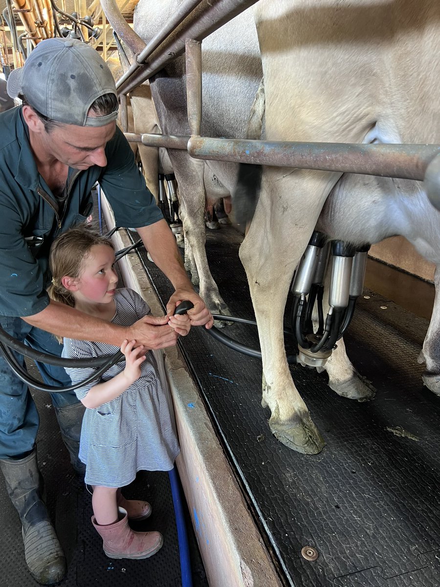 Adam Thompson tweet media