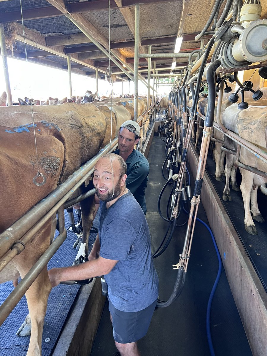 Adam Thompson tweet media