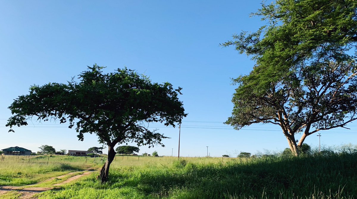 kpczim's tweet photo. Soon after #Odzi on the #Mutare to #Harare road. https://t.co/4EJUhtG7rz