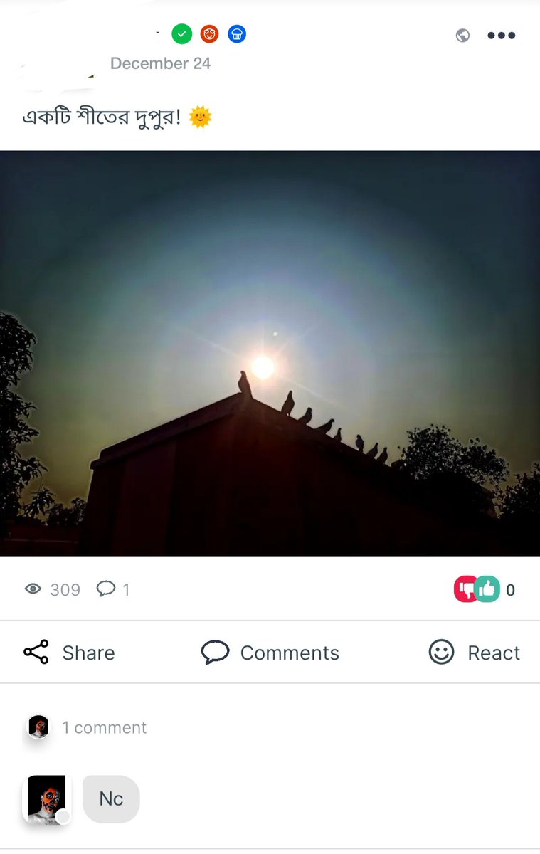 Winter | Sun Kissed | Pigeons 🕊️

#kotha #discover_new_friends #networking
#first_Bangladeshi_social_and_lifestyle_app
#shareyourstory #shareyoursnap #share_new_experience