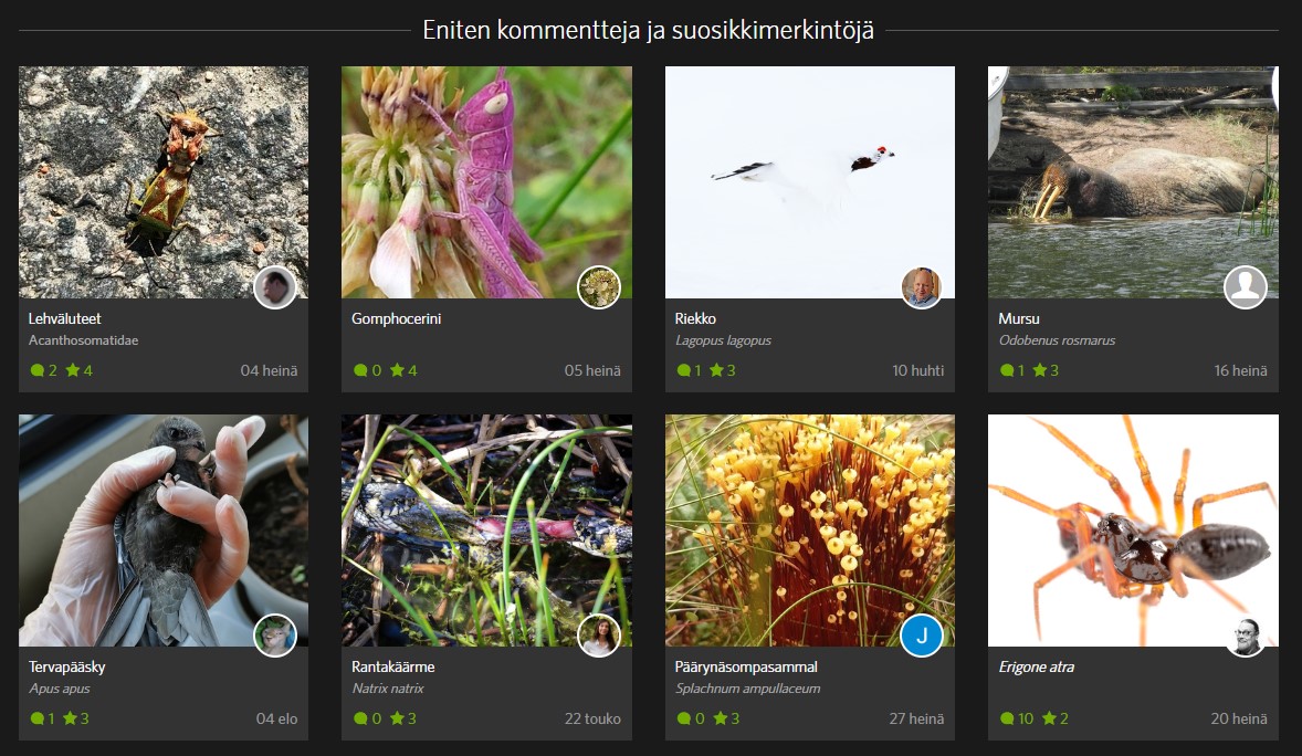 iNaturalist Suomi tweet media