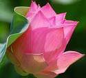Darin71751's tweet photo. @Darin71751 https://t.co/aZqXKgJQeA