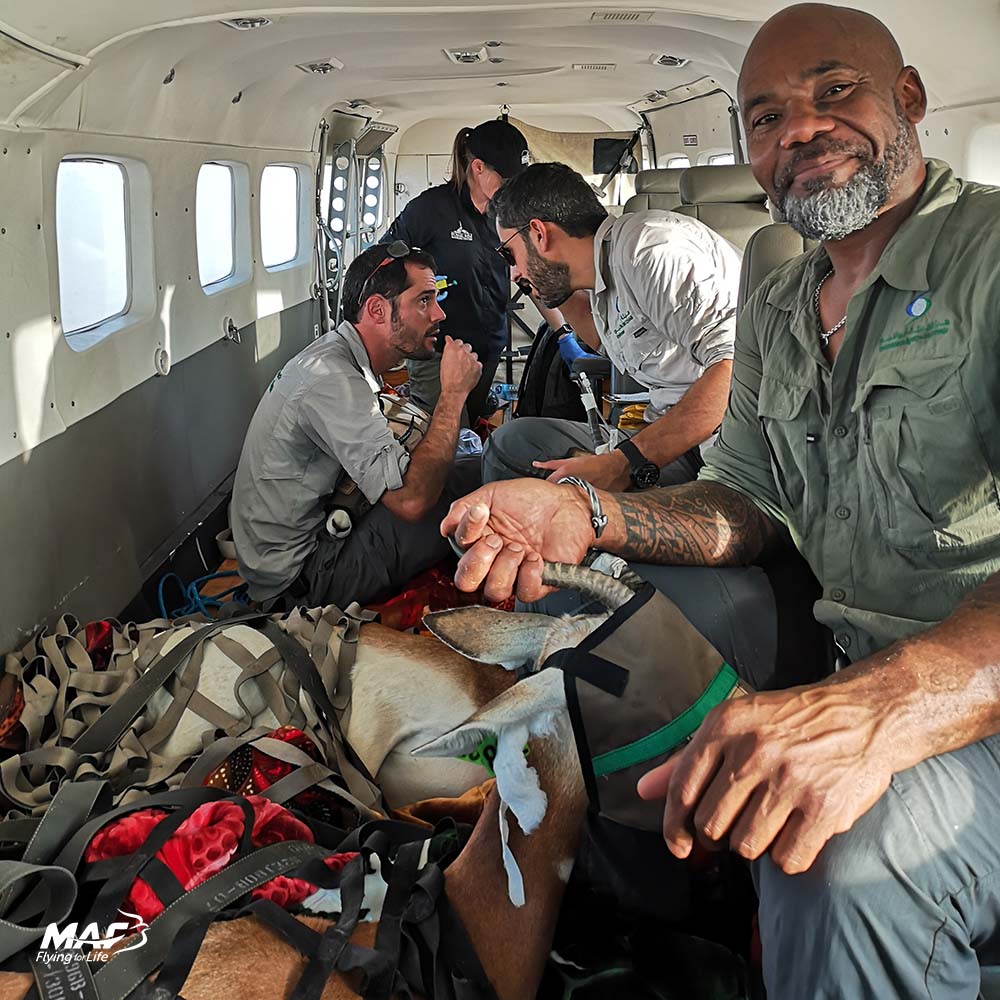 flying4life's tweet photo. 🎄On the 2nd day of #ChristMAF my dear MAF shared with me:
Protecting rare #gazelles in #Chad : https://t.co/vAXGG9O8H4
This season, we’re reflecting on what your support has helped us to achieve. Thank you!
#FlyingForLife #Conservation @MafChad https://t.co/66sEg0W0Yh