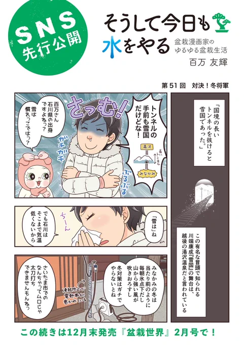 【盆栽世界2月号予告】樹と共に暮らす生活を提案する盆栽専門誌『 #盆栽世界』新年号は12月末のどこかで発売!今回の #水やる はみなかみでの室入れ準備。硫黄臭いやつ大体友達。本誌メイン特集は「梅 百花の魁(さきがけ)を楽しむ」。実は梅持ってないので俄然欲しくなりました。 #盆栽 #bonsai 