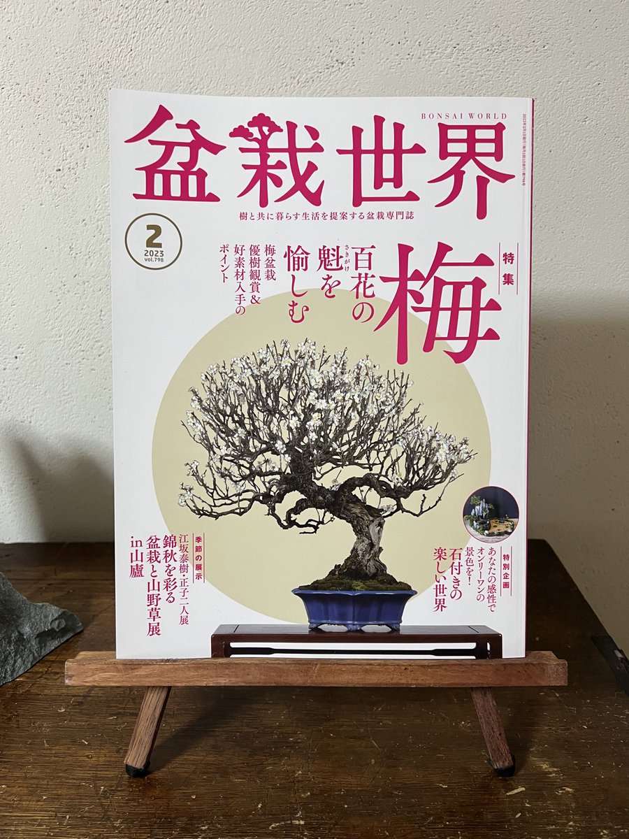 【盆栽世界2月号予告】
樹と共に暮らす生活を提案する盆栽専門誌『 #盆栽世界』新年号は12月末のどこかで発売!
今回の #水やる はみなかみでの室入れ準備。硫黄臭いやつ大体友達。
本誌メイン特集は「梅 百花の魁(さきがけ)を楽しむ」。実は梅持ってないので俄然欲しくなりました。 #盆栽 #bonsai 