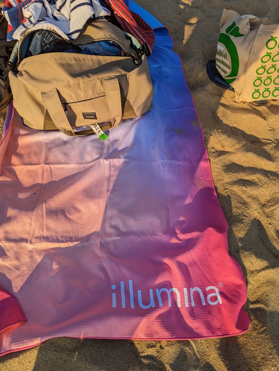 methylnick's tweet photo. Finally got to use the swag. #BeachedAs #notonlyabioinformatician @illumina https://t.co/B6D7brIkT4