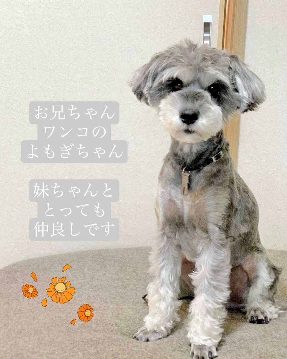 Instagramにてプレゼントキャンペーン実施中ꕤ*.゜

ペン画のペットちゃん達も
可愛いですよ〜(*' `)

#プレゼントキャンペーン
#ペット似顔絵
#犬が好き 