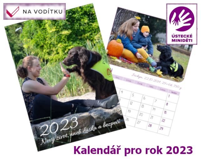 NaVoditku's tweet photo. Jak můžete pomoci Vy?

- příspěvkem do kasiček (Budeme zveřejňovat jejich seznam)
- umístěním kasičky do vaší provozovny
- darem na transparentní účet
- nákupem předmětů
- v konkrétních případech (opět po zveřejnění) přímou osobní pomocí. https://t.co/h0t0VNzIWA