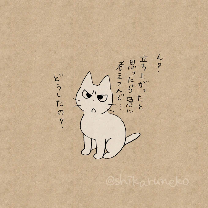 立ち上がった理由が思い出せない人と、しかるねこと、あまやかすねこ 