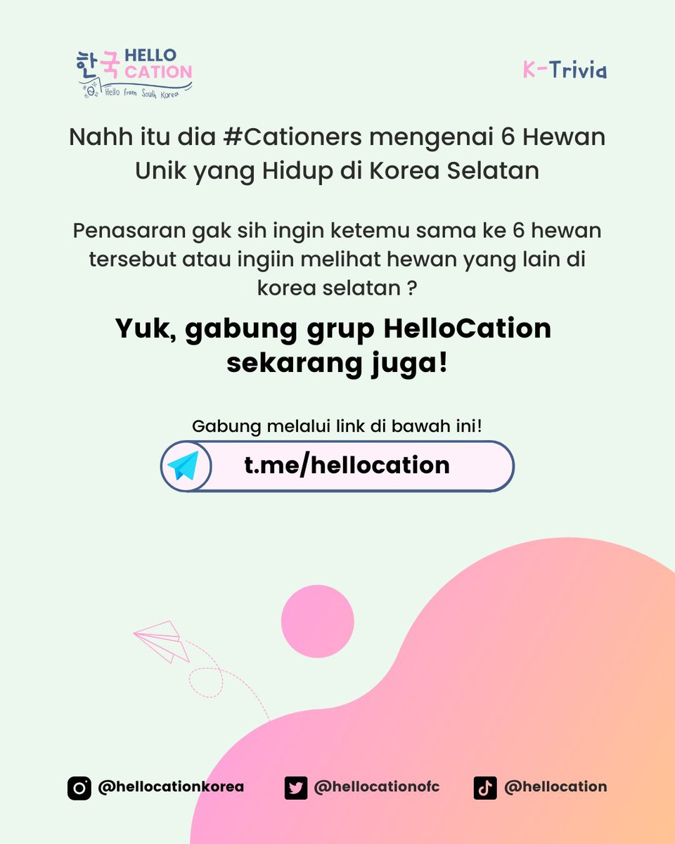 hellocationofc's tweet photo. Jangan lupa juga ikutin terus updatean kita😄🫶🏻
Follow us on:
Twitter: @hellocationofc
Telegram: @HelloCation_official
Tiktok: @hellocation
#hellocation #allaboutkorea #southkorea #cationtrivia #infokorea #cationers #koreantips #zoo #hewan #koreaselatan https://t.co/4VW5nmFP5E