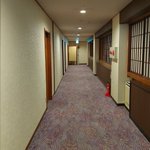 てるちゃん💃「橘鈴丸座長☆一枚看板」の2月公演は💝『篠原演芸場』です。💟観に来てね~ッ。のツイート画像