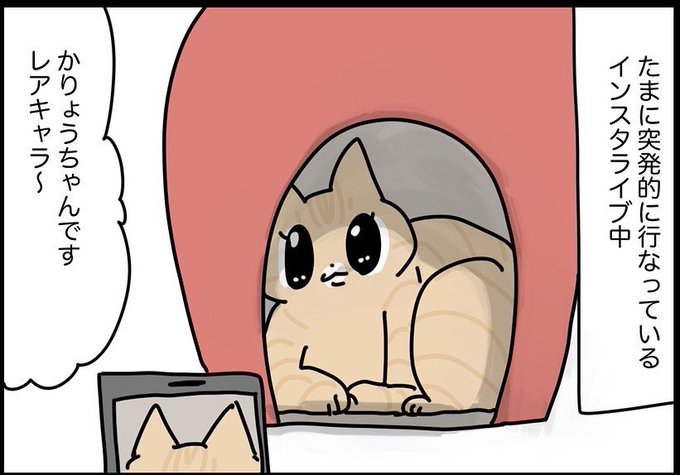 ぽぽ出品です。 猫好きさんと繫がりたい を含むマンガ一覧 : リツイート順 : 28