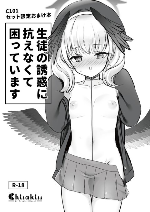 C101セット限定おまけ本の表紙です 