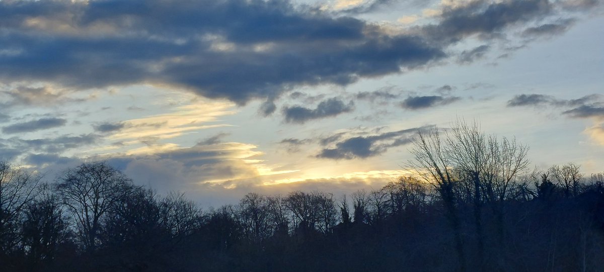 wlhaydock's tweet photo. Today's wintery offerings 🌧❄️ #bluesandgrays #treeshapes #silhouette https://t.co/F5ok7jITpL