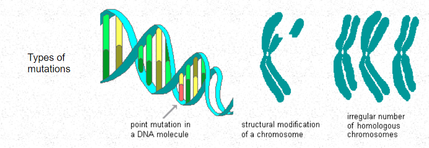 Genetics and DNA Research (@GeneticsDNARes) / Posts / X