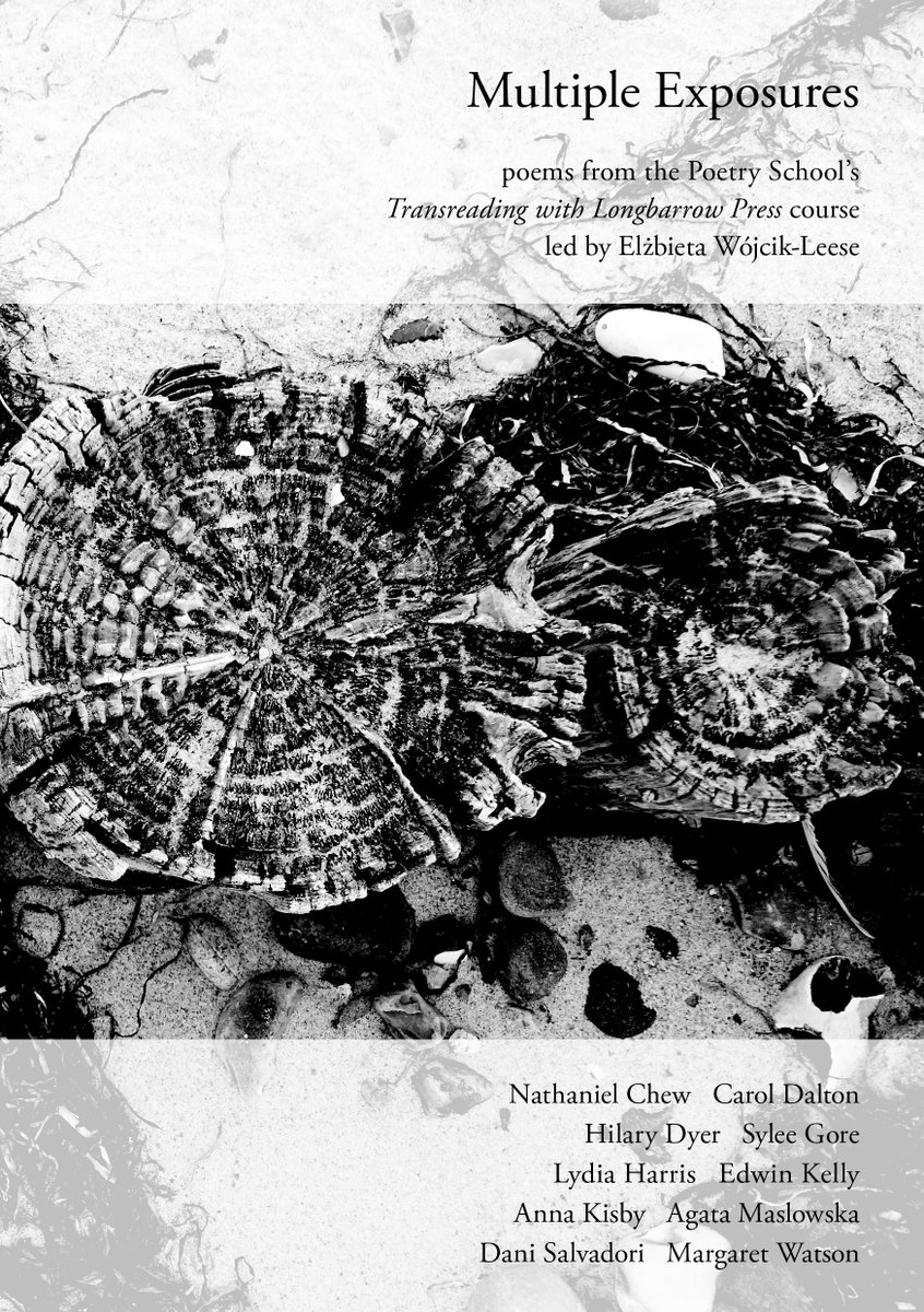 Longbarrow 2022 highlights #3: the publication of 'Multiple Exposures', a digital pamphlet (originating in a course led by Elżbieta Wójcik-Leese) featuring <a href="/BerlinReified/">Sylee Gore</a> <a href="/etakelly/">Edwin K</a> <a href="/AgataMaslowska/">Agata Masłowska</a> <a href="/danisalvadori/">Dani Salvadori</a> &amp; many more, available as a free download:
longbarrowpress.com/current-public…