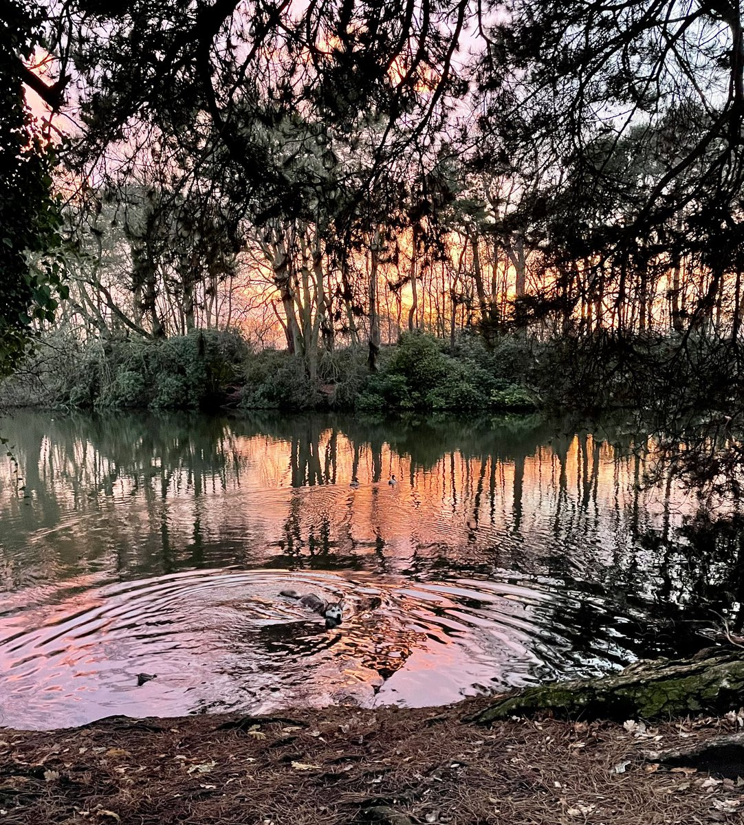 LorenaHall77's tweet photo. Christmas was lovely with my son, other half and doggy (latter can be spotted swimming in the sunset pic taken Christmas Day) 

Now back to finding a routine. #Lorenasphd https://t.co/VhnwgVn8Cj