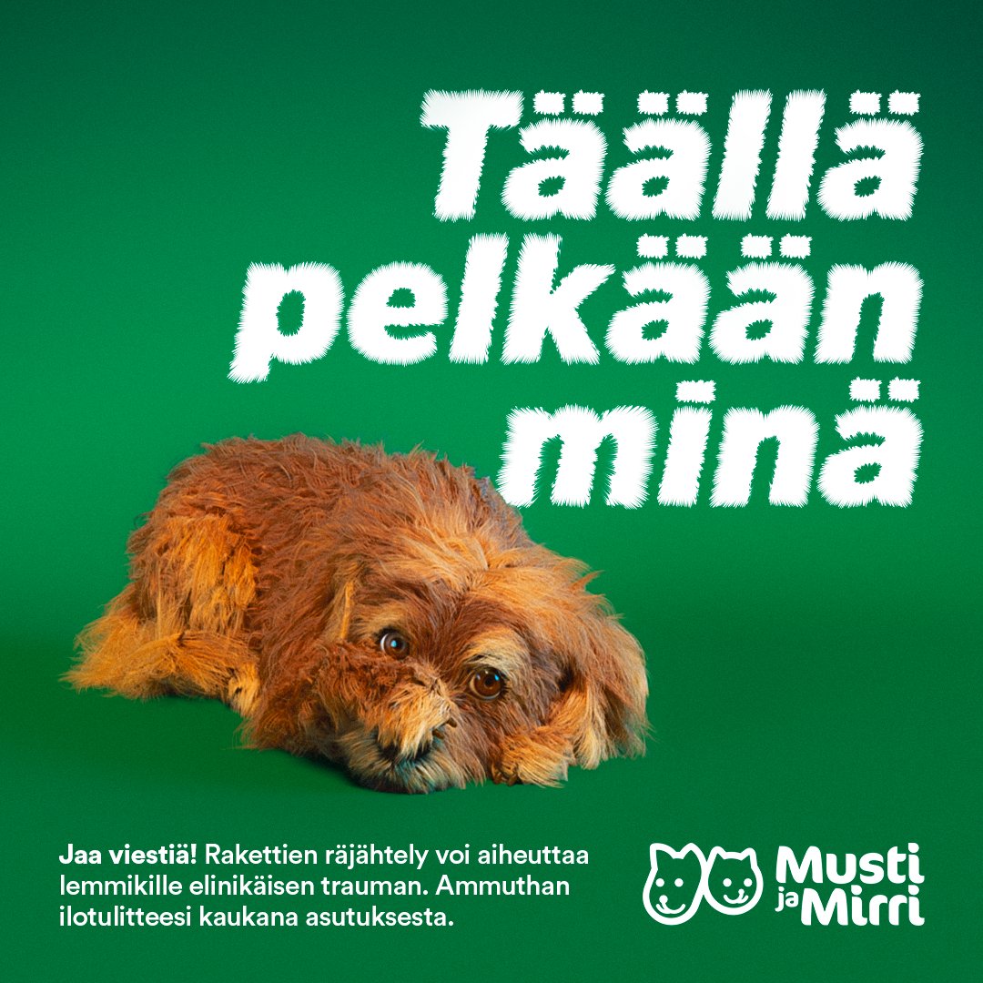 mustijamirri's tweet photo. Rakettien räjähtely voi aiheuttaa lemmikille elinikäisen trauman. Useissa kodeissa uudenvuodenaatto on vuoden pelottavin päivä. Jaa tämä julkaisu hashtagilla #täälläpelkäänminä ja auta tekemään lemmikkien rakettipelko näkyväksi! https://t.co/NYEyZlbflx