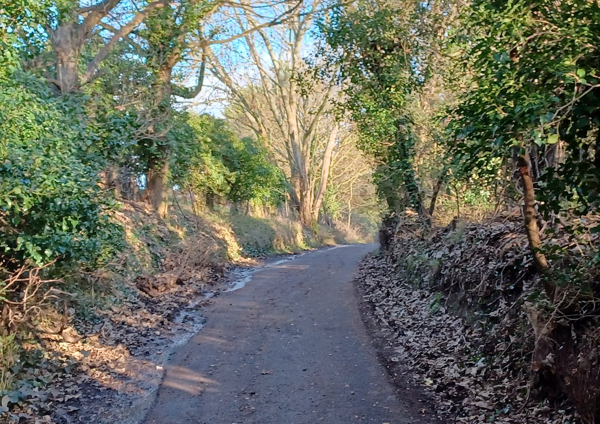 Mark Braxton 💙 tweet media