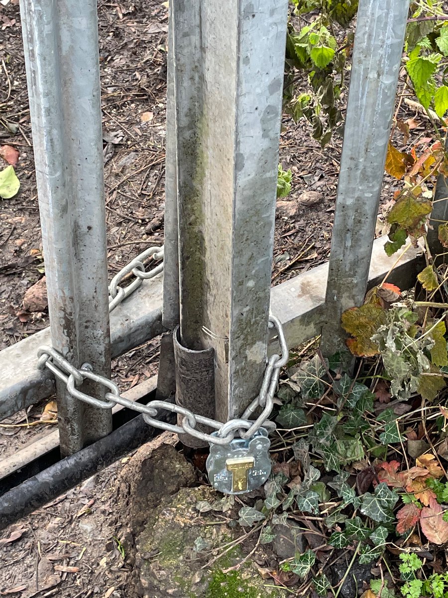 Rebecca Maxwell tweet media