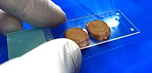 jhistopatholog1's tweet photo. There is also the option to make a "#touch prep", wherein a glass slide is simply pressed against the tissue and then exposed to a #fixative solution.
https://t.co/NeUe1PsGTR https://t.co/PDaNh4imYG