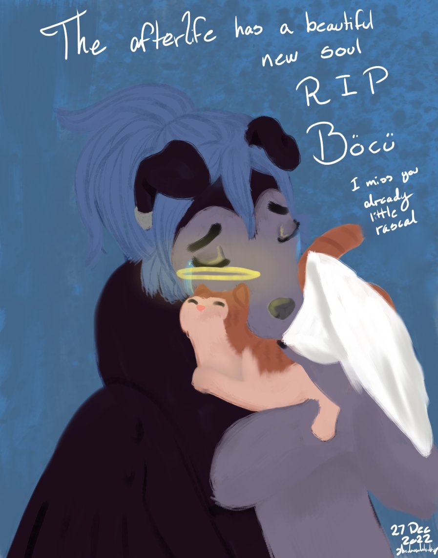 ShadowBlueHusky's tweet photo. Today, I had to say goodbye to my cat, Böcü, and it hurts me deeply. I already miss him running around our home... I hope I'll see him again on the other side... https://t.co/EDRvway3bN