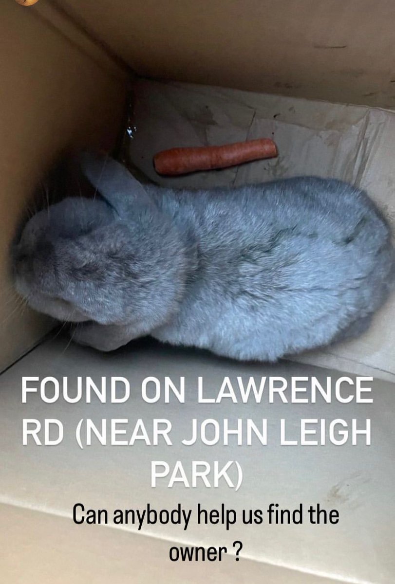 ATCP1's tweet photo. #Altrincham can we help find this little bunny's family ? https://t.co/d2rGIZpYxo