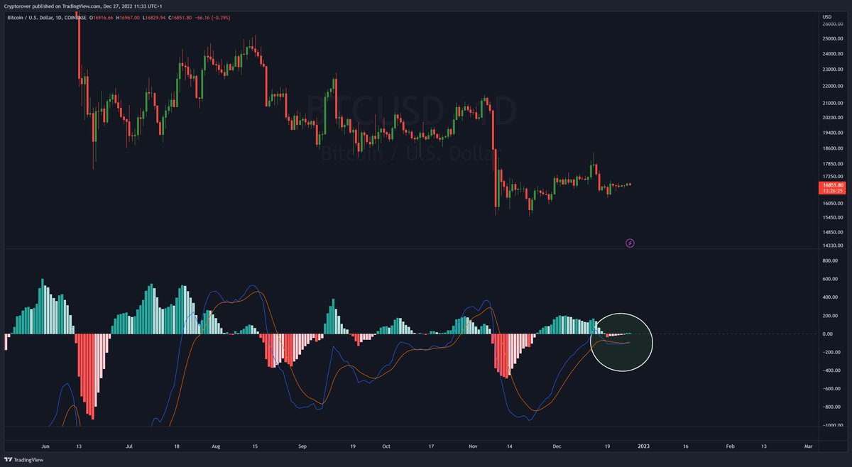 Crypto Rover tweet media