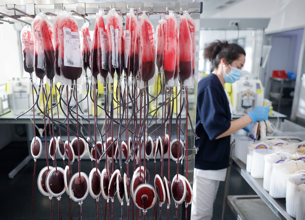 Centro de Transfusión🩸 (@madridonasangre) on Twitter photo 🩸¡Anímate y regala vida donando #sangre hasta el viernes 30 en las Jornadas de Puertas Abiertas!
👩🔬Visitas guiadas para conocer + sobre el proceso de fraccionamiento de la #sangre (11:00, 13:00, 15:00 y 17:00 horas)
🚑Talleres de RCP con <a href="/SAMUR_PC/">SAMUR-Protección Civil</a>
📲c.madrid/donasangre 🩸¡Anímate y regala vida donando #sangre hasta el viernes 30 en las Jornadas de Puertas Abiertas!
👩🔬Visitas guiadas para conocer + sobre el proceso de fraccionamiento de la #sangre (11:00, 13:00, 15:00 y 17:00 horas)
🚑Talleres de RCP con <a href="/SAMUR_PC/">SAMUR-Protección Civil</a>
📲c.madrid/donasangre