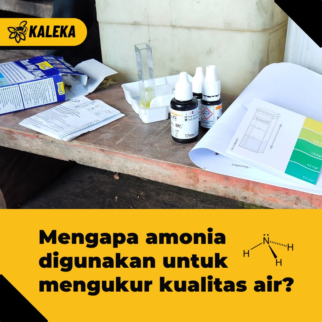 kalekaindonesia's tweet photo. Yuk pelajari lebih lanjut tentang bagaimana pakan ikan yang tak termakan dapat berubah menjadi #amonia dan berujung membahayakan ekosistem perairan. 🧪💧

#Kaleka #TransitiontoExcellence #RealizingSustainability 
#Aquaculture #Water https://t.co/0wXeGV9vdT