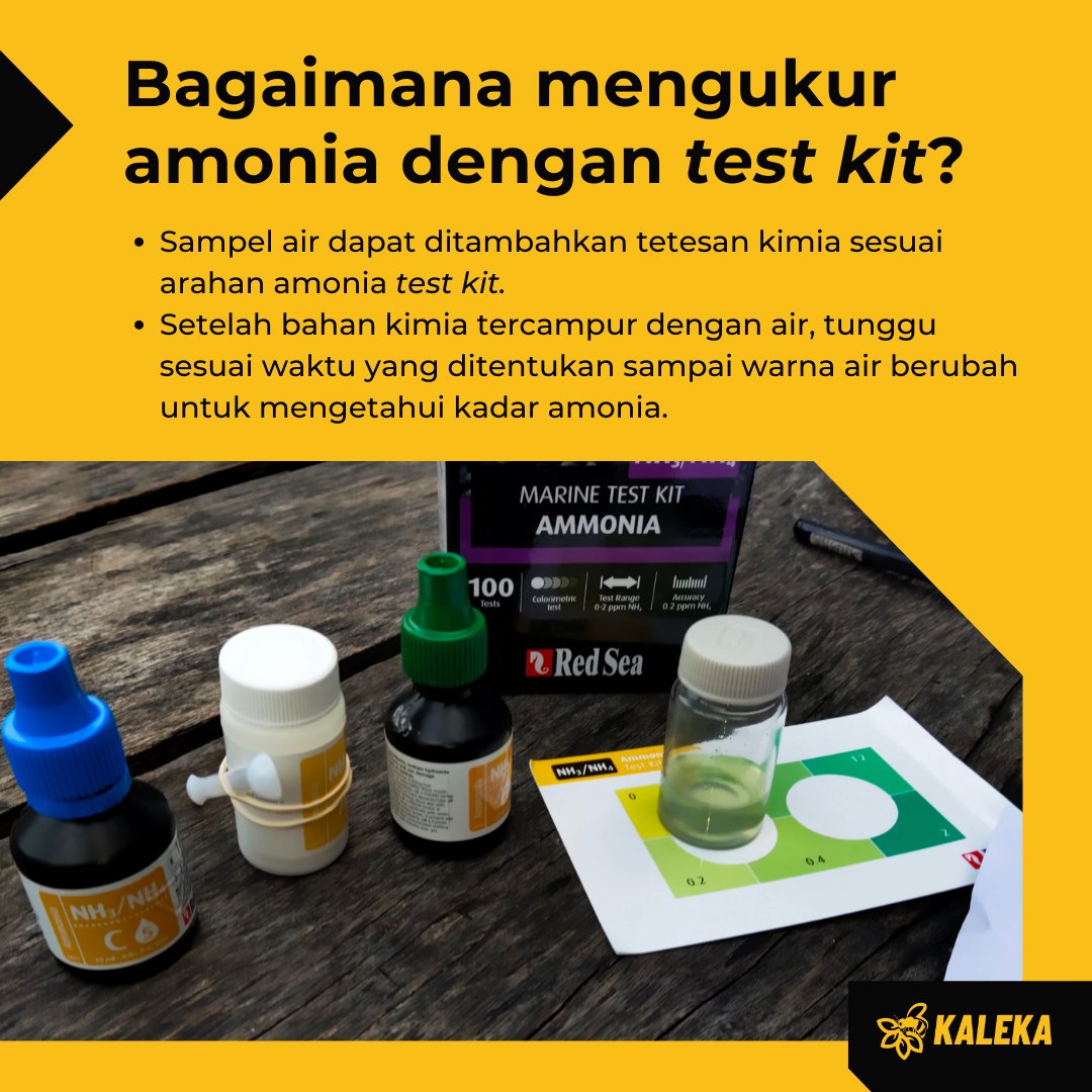 kalekaindonesia's tweet photo. Yuk pelajari lebih lanjut tentang bagaimana pakan ikan yang tak termakan dapat berubah menjadi #amonia dan berujung membahayakan ekosistem perairan. 🧪💧

#Kaleka #TransitiontoExcellence #RealizingSustainability 
#Aquaculture #Water https://t.co/0wXeGV9vdT