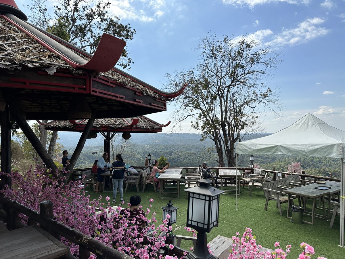 kafaak's tweet image. จริงๆ ตอนแรกจะไปกินข้าวที่ #เหลียงซาน ครับ มีค่าบัตร 100 บาท (เอาไว้ไปแลกเครื่องดื่มได้) เพราะร้านอยู่บนเขา ทางชันมาก ต้องขึ้นรถของร้านไป ร้านตกแต่งสไตล์จีน มี 2 โซน คือ โซนกาแฟและเบเกอรี่ กับโซน Slow bar ที่จิบชา ดื่มแอลกอฮอล์ ทานข้าว #triptwt