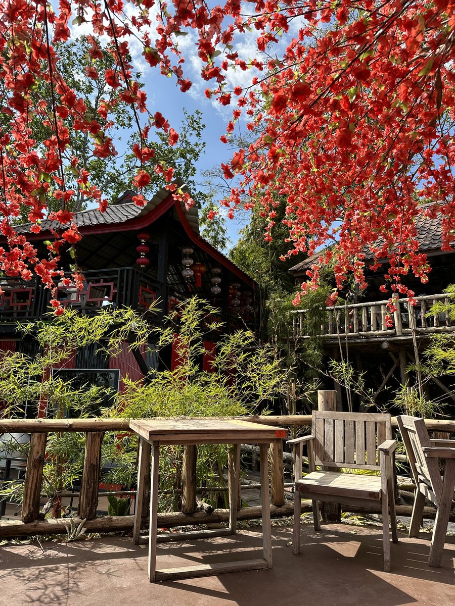 kafaak's tweet image. จริงๆ ตอนแรกจะไปกินข้าวที่ #เหลียงซาน ครับ มีค่าบัตร 100 บาท (เอาไว้ไปแลกเครื่องดื่มได้) เพราะร้านอยู่บนเขา ทางชันมาก ต้องขึ้นรถของร้านไป ร้านตกแต่งสไตล์จีน มี 2 โซน คือ โซนกาแฟและเบเกอรี่ กับโซน Slow bar ที่จิบชา ดื่มแอลกอฮอล์ ทานข้าว #triptwt