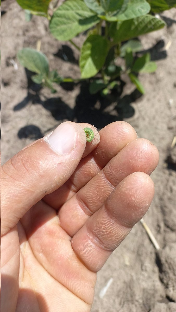 Arrancó temprano la señora...! lejos de justificar un control... peeeeeeero, ya sabemos que estas ahí.