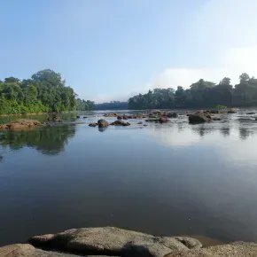 CNRS_OccitaniE's tweet image. ❓ #MinuteScience | Selon vous, combien de cours d'eau, en pourcentage, abritent une biodiversité en poisson peu impactée par les activités humaines dans le monde ?

➡️  buff.ly/3EWDqBQ 
 
@umrMARBEC @CNRS @umontpellier @ird_fr @Ifremer_fr 

Photo : ©Sébastien Brosse-EDB